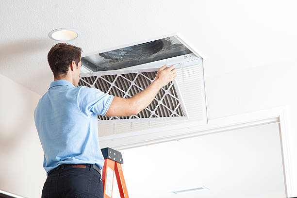 Best HVAC Cleaning Services  in Saline, MI
